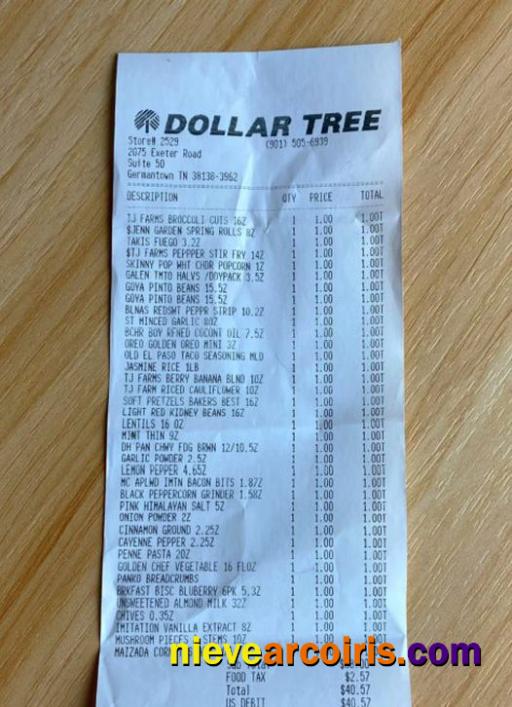 Dollar tree store payment receipt